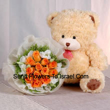 12 Orange Roses with Cute Teddy Bear
