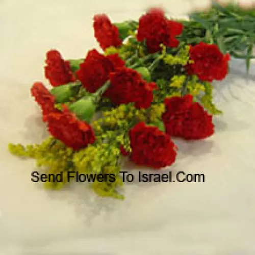 Bunch Of 10 Red Carnations