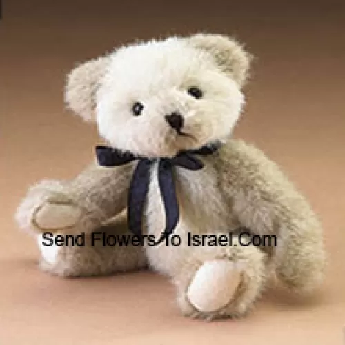 Cute White 6 Inch Teddy Bear