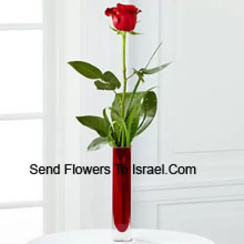 Une seule rose rouge dans un vase tube à essai rouge (Nous nous réservons le droit de substituer le vase en cas de non-disponibilité. Stock limité)