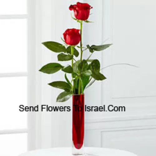 Two Red Roses In A Red Test Tube Vase (We Reserve The Right To Substitute The Vase In Case Of Non-Availability. Limited Stock)